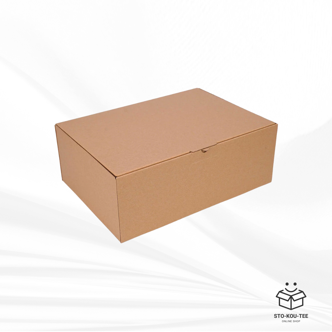 Courier folding box - 350 x 250 x 100 mm