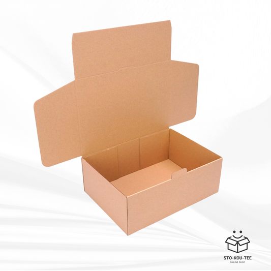 Courier folding box - 350 x 250 x 100 mm