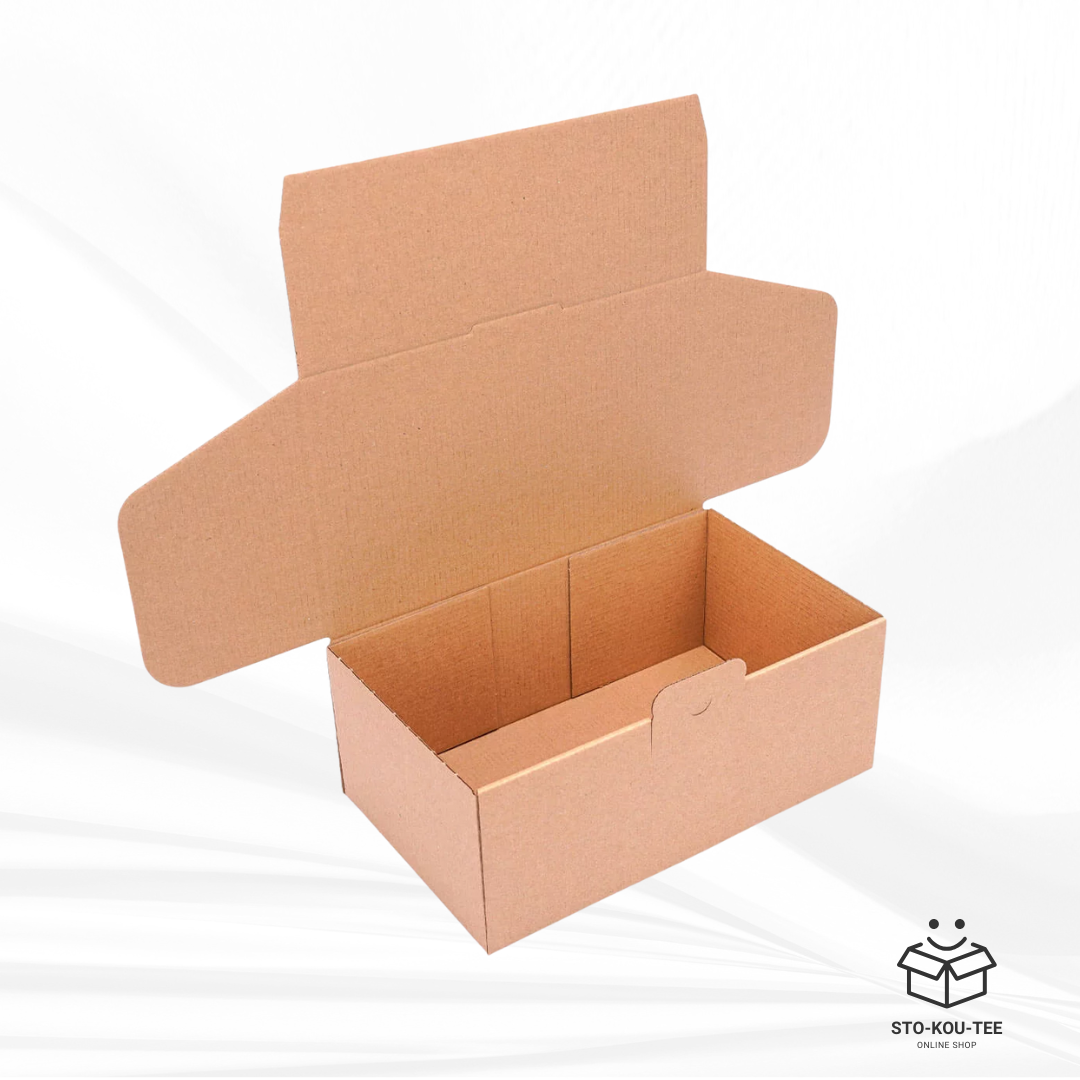 Courier folding box - 250 x 150 x 100 mm