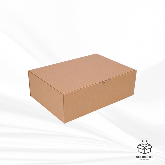Courier folding box - 310x215x100 mm