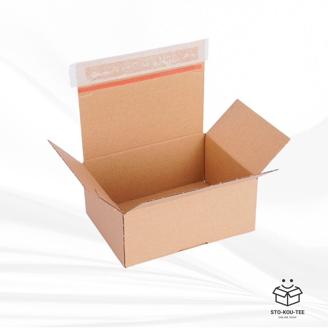 Courier Box with  with self-adhesive lid - 160 x 130 x 70 mm